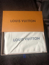 Load image into Gallery viewer, Louis Vuitton Felicie Pochette
